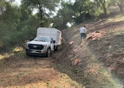 Affordable Stump Grinding