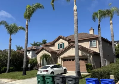 Affordable Tree Trimming