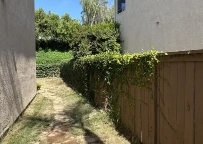 Excellent Local Tree Service