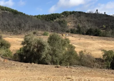 Quality Local Tree Service