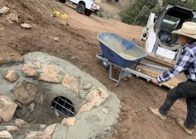 Queretaro Tree Service