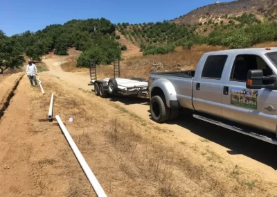 Queretaro Tree Service Fallbrook, CA