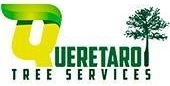 Queretaro Tree Service