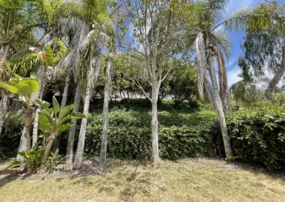 Reliable Tree Maintenance