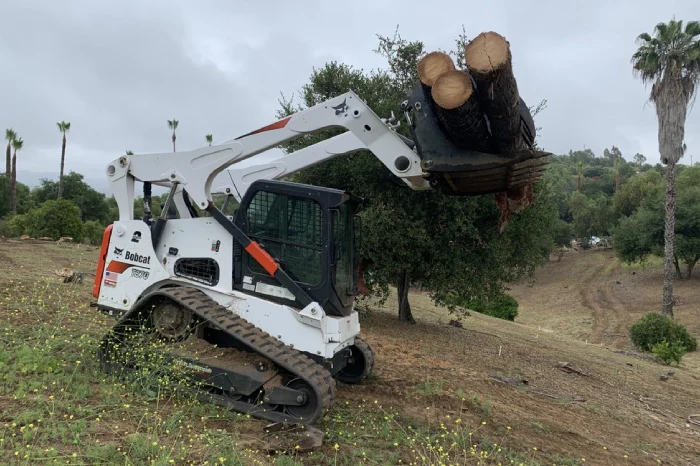 Tree Cutting Service Tree Cutting Service