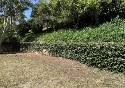 Trusted Local Tree Service