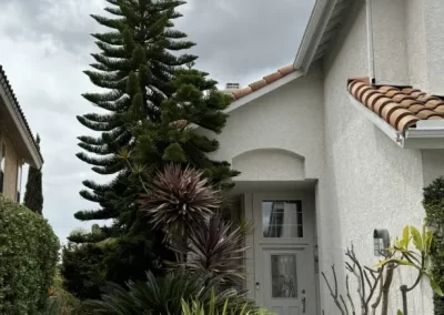 Trusted Tree Maintenance