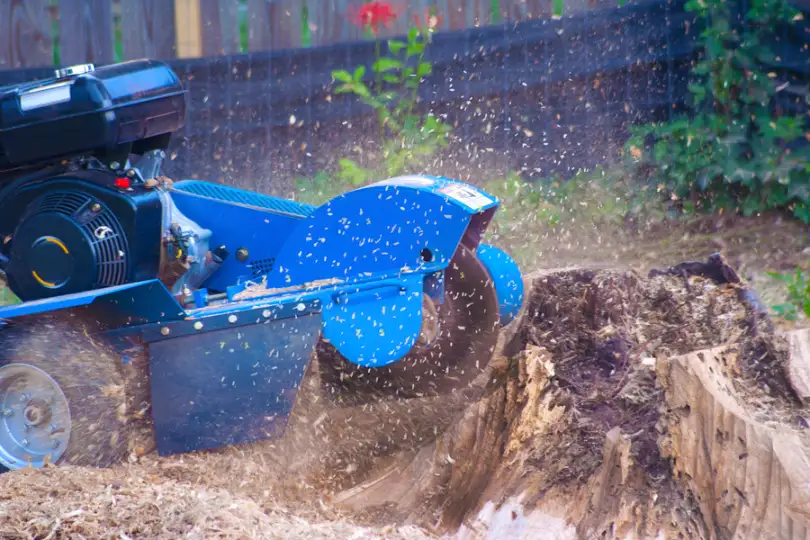 How Stump Grinding Can Enhance Your Curb Appeal Fallbrook CA