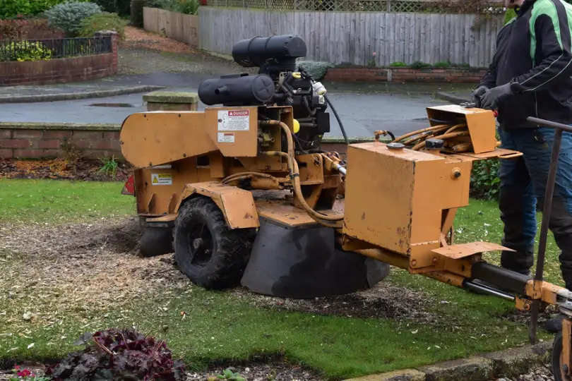 What To Expect During A Stump Grinding Process in Fallbrook CA